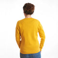 cardigan-cornouaille-curry-2