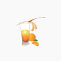 Mélangeurs à Cocktail Décoratifs Libellule orange